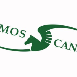 See ICOMOS Canada’s Renewed Logo