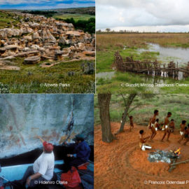 Background Research for Indigenous Heritage Working Group